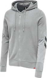 Kapuzenpullover