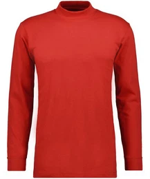 Langarmshirt langarm
