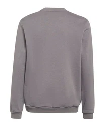 adidas Performance Sweatshirt Entrada 22 