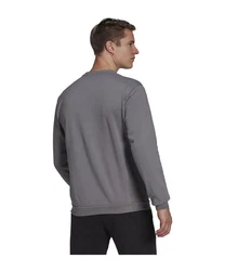 adidas Performance Sweatshirt Entrada 22 