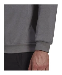 adidas Performance Sweatshirt Entrada 22 