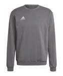 adidas Performance Sweatshirt Entrada 22 