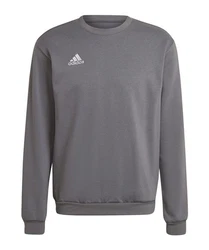 adidas Performance Sweatshirt Entrada 22 