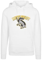 F4NT4STIC Rundhalspullover Herren Silber/Weiß/Dunkelblau