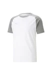 PUMA T-Shirt teamCUP Casuals T-Shirt 