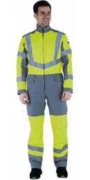 Overall Overall Fovea