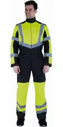 Overall Overall Fovea