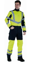 Overall Overall Fovea