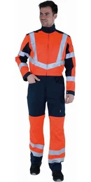 Overall Overall Fovea