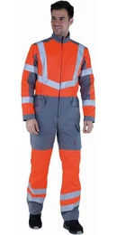 Overall Overall Fovea