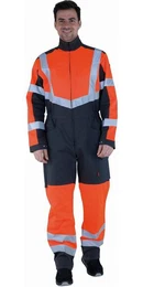Overall Overall Fovea