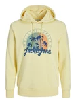 Jack & Jones Hoodie JJSUMMER VIBE SWEAT HOOD Gelb