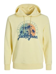 Hoodie JJSUMMER VIBE SWEAT HOOD