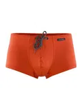 Orange Bikini Hosen image