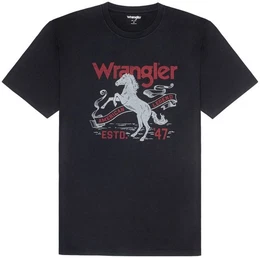 T-Shirt AMERICANA