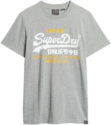 Superdry Print-Shirt SD-VL DUO TEE Mit Cracked Print grau
