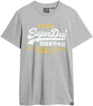 Superdry Print-Shirt SD-VL DUO TEE Mit Cracked Print grau
