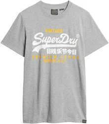 Superdry Print-Shirt SD-VL DUO TEE Mit Cracked Print grau