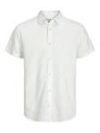 Jack & Jones Kurzarmhemd JJESUMMER LINEN BLEND SHIRT Weiß/Grau/Khaki/Hellgrün