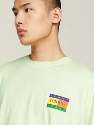 Tommy Jeans T-Shirt TJM REG SUMMER FLAG TEE EXT Mehrfarbig