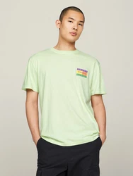 Tommy Jeans T-Shirt TJM REG SUMMER FLAG TEE EXT Mehrfarbig