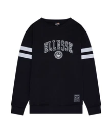 Sweatshirt Herren Sweatshirt Vivar
