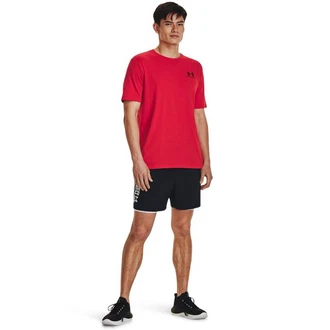 Under Armour T-Shirt UA M SPORTSTYLE LC SS rot/schwarz
