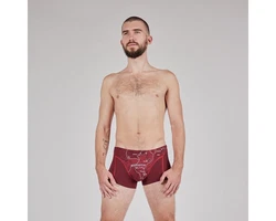 EIN SCHNER FLECK ERDE Boxer Herren 