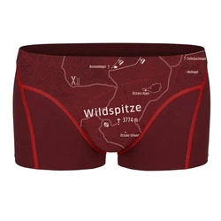 EIN SCHNER FLECK ERDE Boxer Herren 