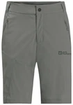 Jack Wolfskin Outdoorhose GLASTAL SHORTS 