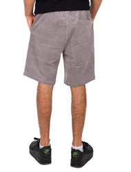 Iriedaily Shorts 'Corvin' grau/weiß