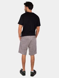 Iriedaily Shorts 'Corvin' grau/weiß