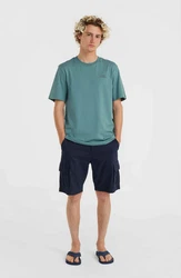 O'Neill T-Shirt Small Logo T-Shirt 