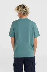O'Neill T-Shirt Small Logo T-Shirt 