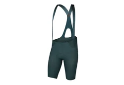 Endura Shorts 