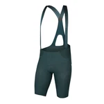 Endura Shorts 