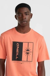 O'Neill T-Shirt MIX & MATCH PALM T-SHIRT Orange