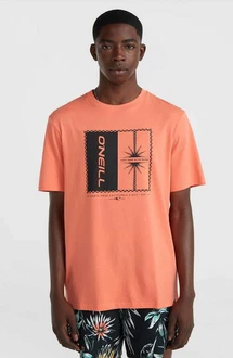O'Neill T-Shirt MIX & MATCH PALM T-SHIRT