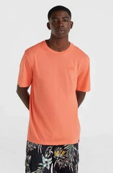 O'Neill T-Shirt Small Logo T-Shirt Orange