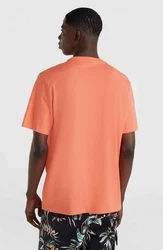 O'Neill T-Shirt Small Logo T-Shirt Orange