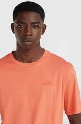 O'Neill T-Shirt Small Logo T-Shirt Orange