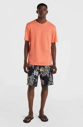 O'Neill T-Shirt Small Logo T-Shirt Orange