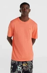 O'Neill T-Shirt Small Logo T-Shirt Orange