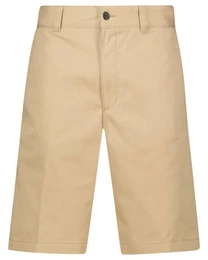 Shorts Herren Shorts DARIK Regular Fit (1-tlg)