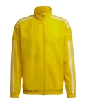 adidas Herren Sq21 Pre Jkt Jacke Squadra 21 Präsentationsjacke Gelb