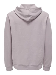 ONLY & SONS Hoodie ONSLAMER REG INTERLOCK SWEAT HOODIE Grau/Hellgrau