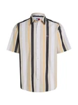 Tommy Jeans Kurzarmhemd TJM RLX STRIPES SHIRT Mehrfarbig