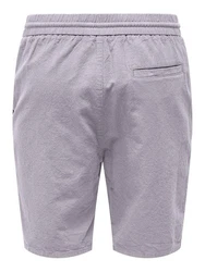 ONLY & SONS Shorts Linus Hellgrau