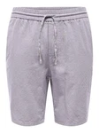 ONLY & SONS Shorts Linus Hellgrau