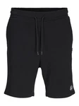 Jack & Jones JPSTGORDON JJBRAD Sweat Shorts Dunkelgrau/Schwarz/Beige